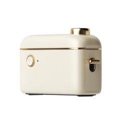 niimbot h1s