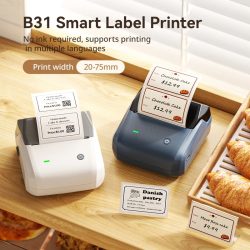 NIIMBOT B31